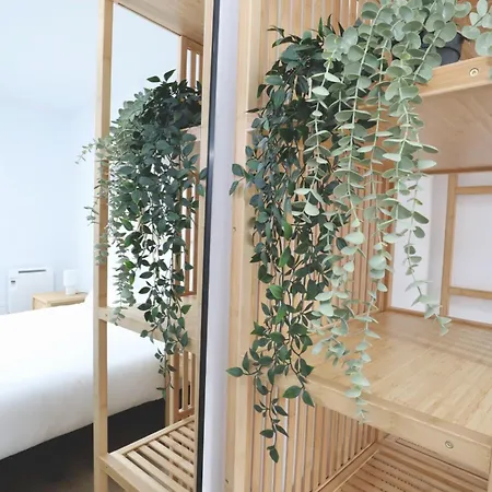 Notel Club - Surf Apartment